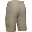 Spodenki męskie Under Armour  Tech Short brown