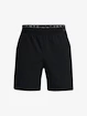 Spodenki męskie Under Armour  Vanish Woven 6in Shorts-BLK