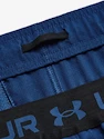 Spodenki męskie Under Armour  Vanish Woven 6in Shorts-BLU