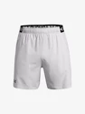 Spodenki męskie Under Armour  Vanish Woven 6in Shorts-GRY