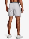 Spodenki męskie Under Armour  Vanish Woven 6in Shorts-GRY