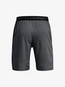 Spodenki męskie Under Armour  Vanish Woven 8in Shorts-GRY