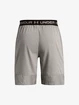 Spodenki męskie Under Armour  Vanish Woven 8in Shorts-GRY