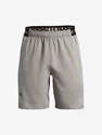 Spodenki męskie Under Armour  Vanish Woven 8in Shorts-GRY