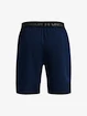 Spodenki męskie Under Armour  Vanish Woven 8in Shorts-NVY