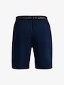 Spodenki męskie Under Armour  Vanish Woven 8in Shorts-NVY