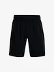 Spodenki męskie Under Armour  Woven Graphic Shorts-BLK