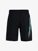 Spodenki męskie Under Armour  Woven Graphic Shorts-BLK