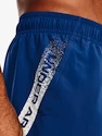 Spodenki męskie Under Armour  Woven Graphic Shorts-BLU