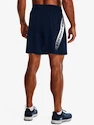 Spodenki męskie Under Armour  Woven Graphic Shorts-NVY