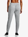 Spodnie dresowe Under Armour  Rival Fleece Jogger-GRY