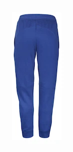 Spodnie męskie Babolat  Exercise Jogger Pant M Sodalite Blue