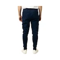 Spodnie męskie Bauer  Gamechanger Jogger Navy